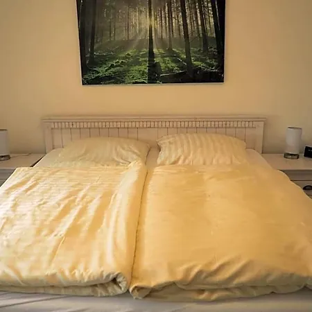 Hotel Clemens 3*