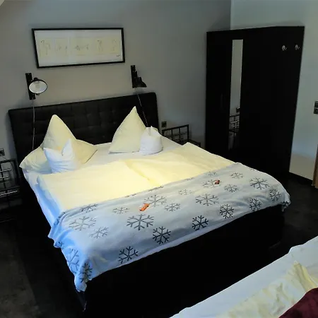Hotel Clemens 3*
