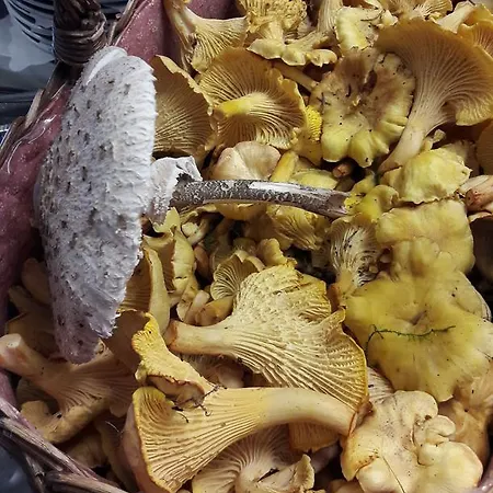 מלון Clemens ווינטרברג